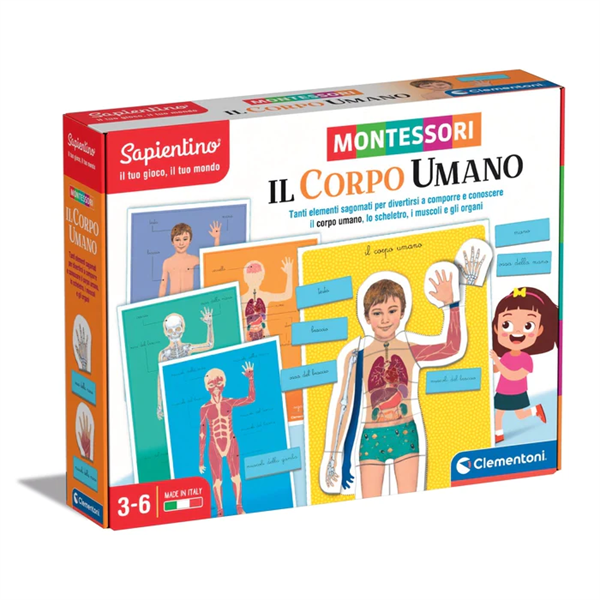 MONTESSORI - CORPO UMANO-