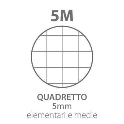 Blocco Notes Pignastyl  A5 Ff 70  5mm (Quadri Senza Margine)