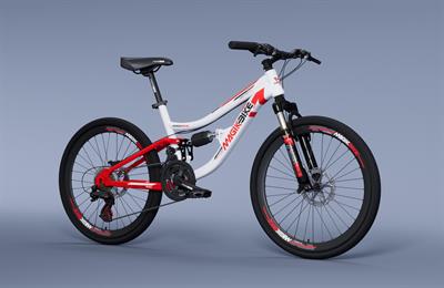 Bici 24 Mtb Full Ragazzo