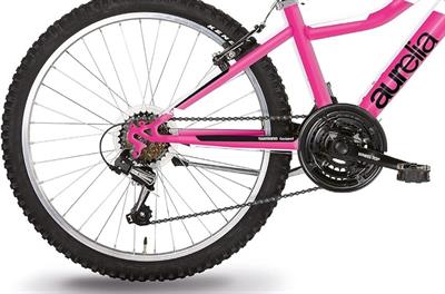 Bicicletta 24  Mtb Donna Rosa