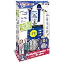 Sound Box Con 2 Microfoni Con Posizione Regolabile