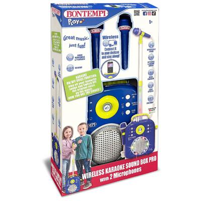 Sound Box Con 2 Microfoni Con Posizione Regolabile