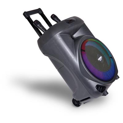 Trolley Amplificatore Wireless con 2 Microfono Wireless