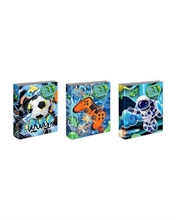 Raccoglitore ad Anelli A4 Maxi D30 Boy Sj Gang