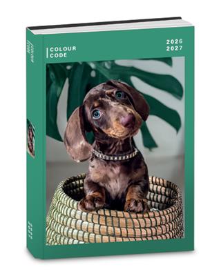Diario Agenda 10Mesi Datato Colour Code Animal Snapshot