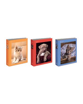 Raccoglitore ad Anelli A4 Maxi D30 # Colour Code Animal Snapshot