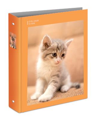 Raccoglitore ad Anelli A4 Maxi D30 # Colour Code Animal Snapshot