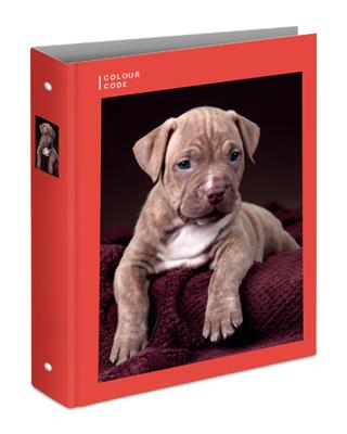 Raccoglitore ad Anelli A4 Maxi D30 # Colour Code Animal Snapshot