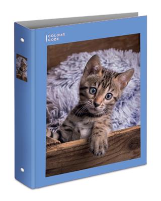 Raccoglitore ad Anelli A4 Maxi D30 # Colour Code Animal Snapshot