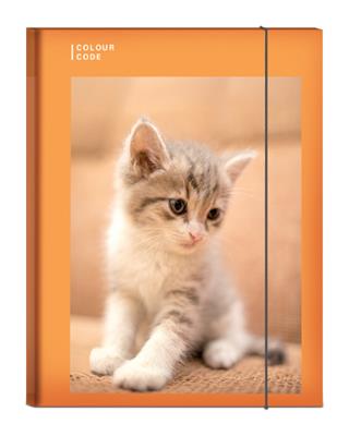 Cartella con Elastico Ds 1cm Colour Code Animal Snapshot