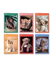 Quaderno A4 Maxi 96/100 Colour Code Animal Snapshot Quadri Con M