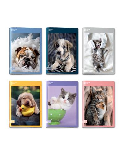 Quaderno A4 Maxi 96/100 Colour Code Animal Snapshot Rigo 1°-2° P