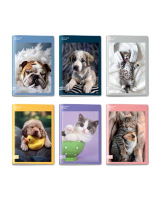 Quaderno A4 Maxi 96/100 Colour Code Animal Snapshot Quadri Con M