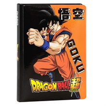 Diario 12 Mesi Arancione Dbs