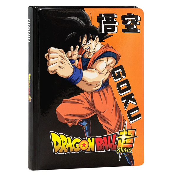 Diario 12 Mesi Arancione Dbs