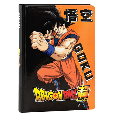 Diario 12 Mesi Arancione Dbs