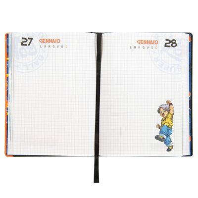 Diario 12 Mesi Arancione Dbs