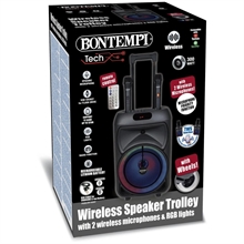 Cassa Wireless Trolley Con 2 Microfoni Wireless e Luci RGB
