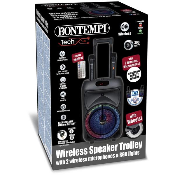 Cassa Wireless Trolley Con 2 Microfoni Wireless e Luci RGB