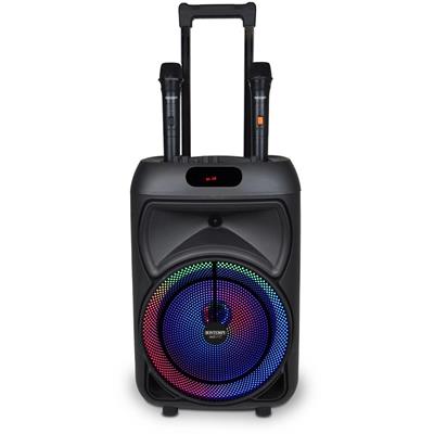 Cassa Wireless Trolley Con 2 Microfoni Wireless e Luci RGB