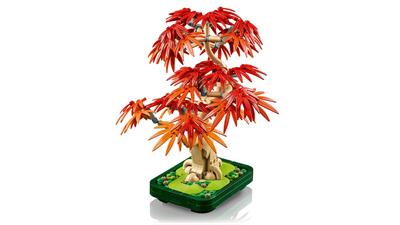 Lego Botanicals Bonsai Acero Rosso Giapponese 10348