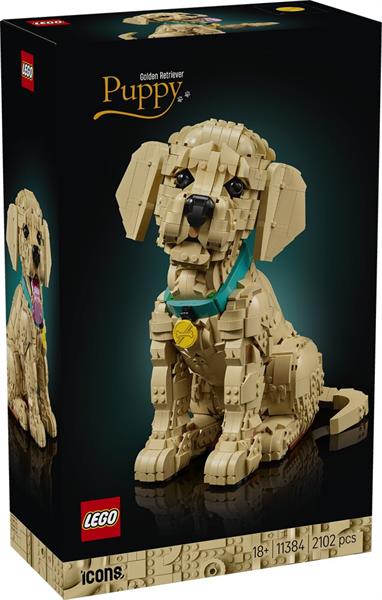 Lego Icons Cucciolo Golden Retriever 11384