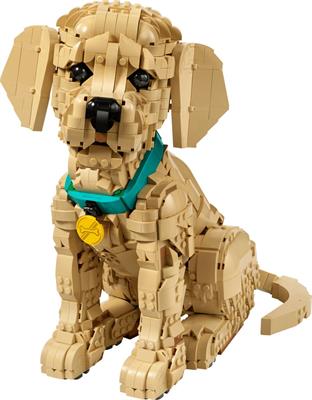 Lego Icons Cucciolo Golden Retriever 11384