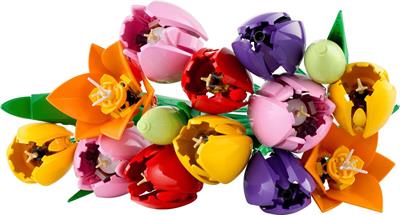 Lego Botanicals Bouquet Di Tulipani 11501