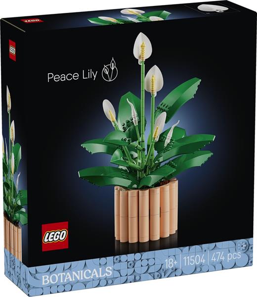 Lego Botanicals Spatifillo 11504