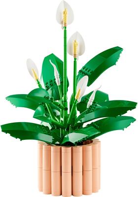 Lego Botanicals Spatifillo 11504