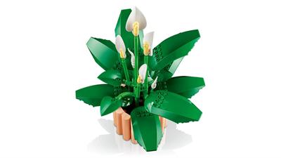 Lego Botanicals Spatifillo 11504