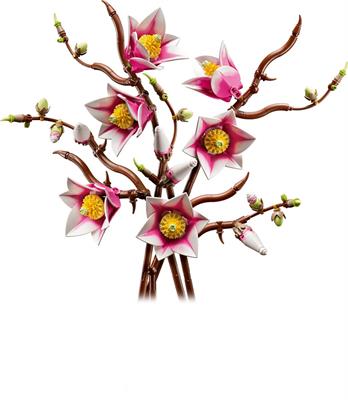 Lego Botanicals Rametti Di Magnolia 11510