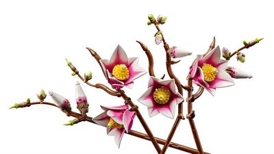 Lego Botanicals Rametti Di Magnolia 11510