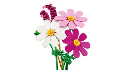 Lego Botanicals Fiori Di Cosmos 11514