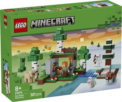 Lego Minecraft Avventura Prima Notte 21593